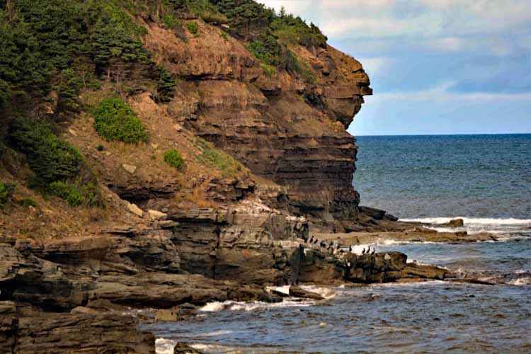 shoreline cliffs